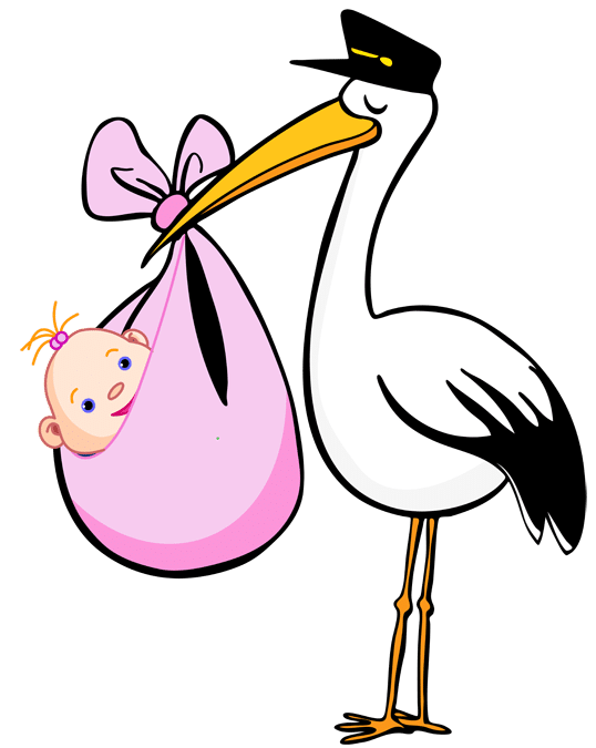 The Lean StartUp Newborn email