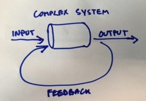complex-system-feedback