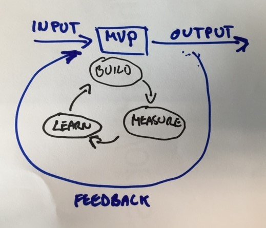 MVP, the right tool for complex system