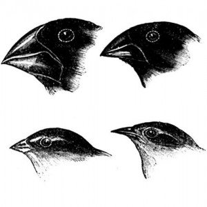 090212darwinday_f_013