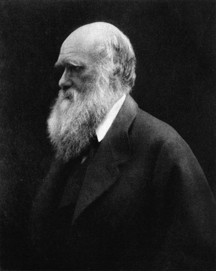 Darwinism and innovation: if you don’t evolve you are going to disappear