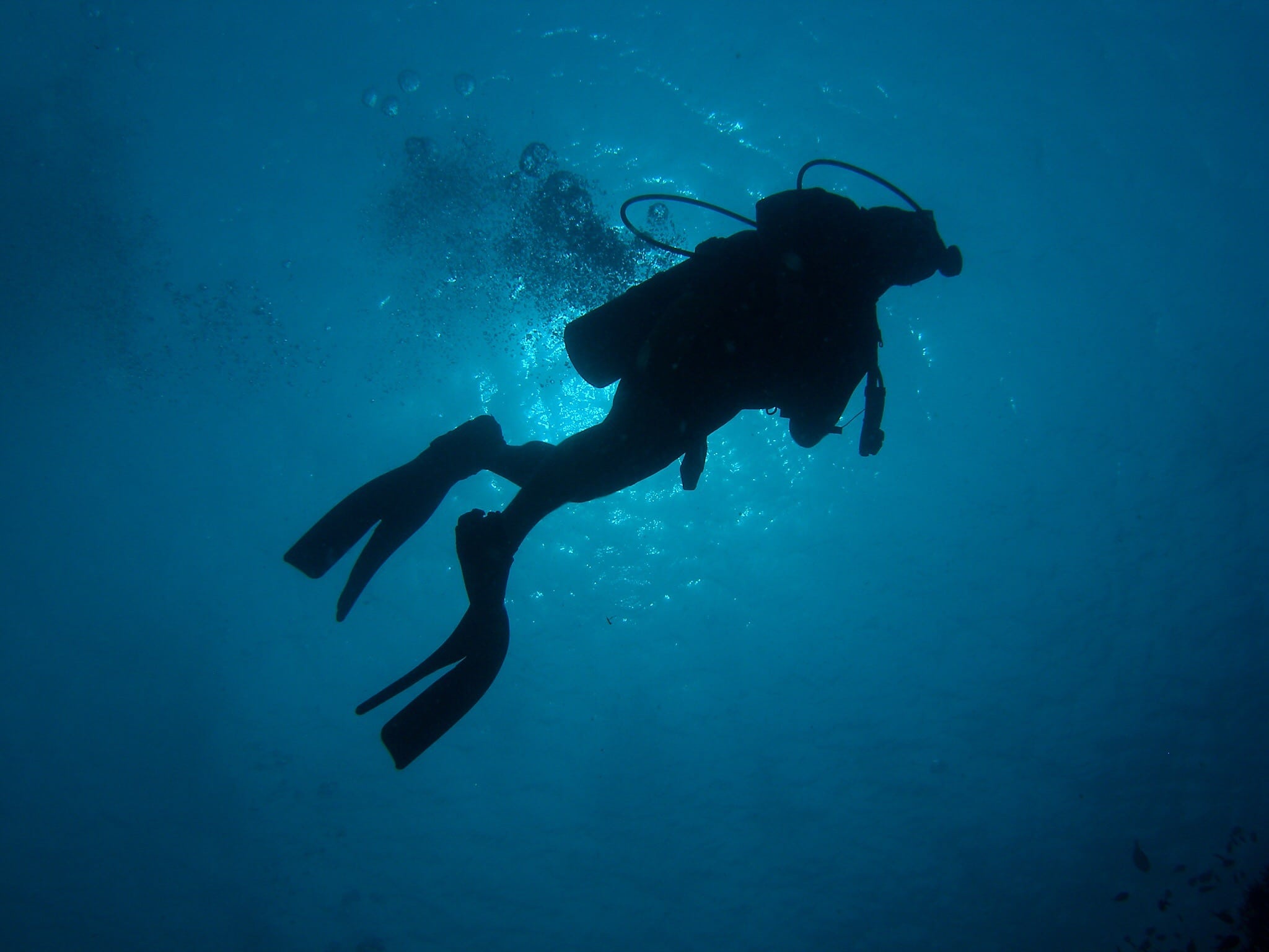 Facilitation and diving: depth, duration and decompression time